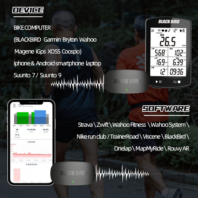 Sensore di Frequenza Cardiaca  - Breath Rate Monitor recensione e prezzo